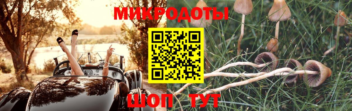 Галлюциногенные грибы мухоморы Салехард