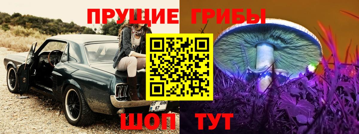 Салехард  Псилоцибиновые грибы мухоморы  Вход с VPN 